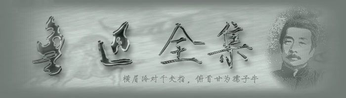重慶網(wǎng)絡公司－魯訊（吶喊）